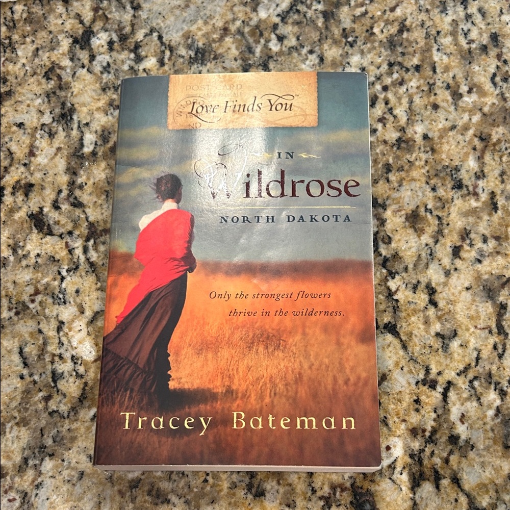 Love Finds You in Wildrose North Dakota Book